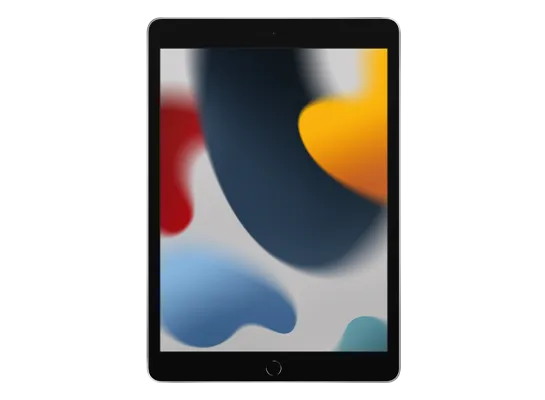 iPad (9th generation)